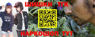 Альфа ПВП Сланцы