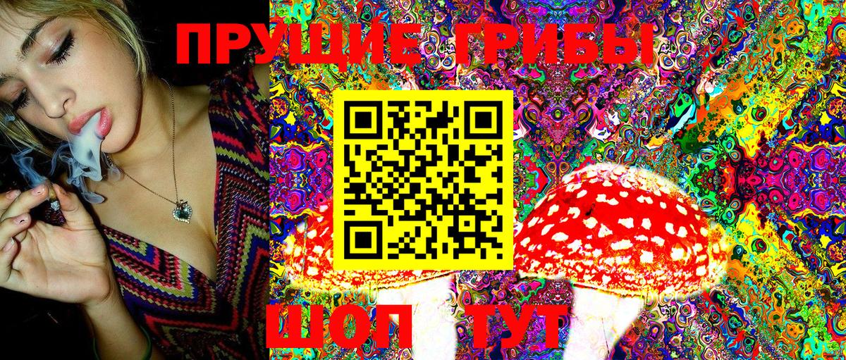 Галлюциногенные грибы MAGIC MUSHROOMS  Псилоцибиновые грибы MAGIC MUSHROOMS  Вход с VPN  Подольск 