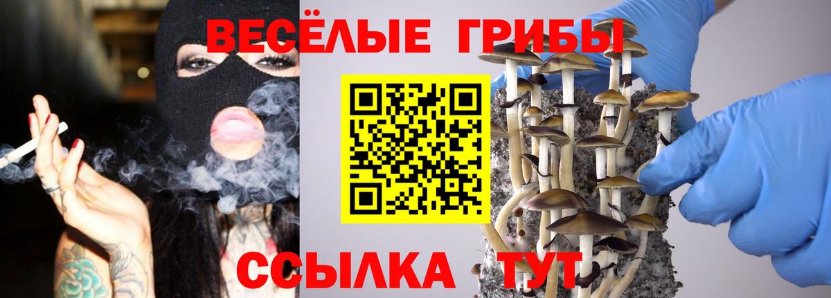 Псилоцибиновые грибы прущие грибы Подольск